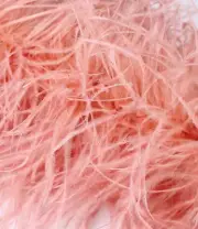 Blush Pink Peach Ostrich Boa 6 ply 2 Yards Long Premium Ostrich Boa - 1 Piece