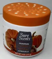 Sure Scents Pumpkin Air Freshener Citrouille Air Freshener Solid Gel 9 Oz (255g)
