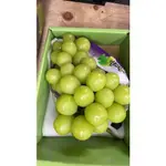 日本麝香葡萄買耶送一兩房出一盒