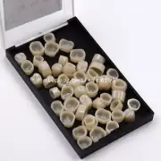 50 Pcs Dental Oral Temporary Posterior Teeth Crown Resin Tooth Square Type