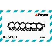 Payen Head Gasket - AF5600