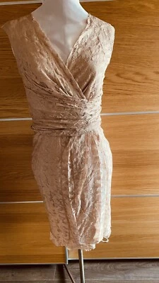 BNWT phase eight /8 Dana lace Cameo dress size 10
