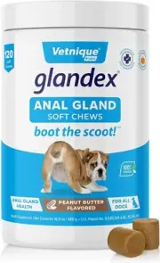 Glandex Gland Soft Chew Treats with Pumpkin for Dogs Chews with Digestive Enzyme