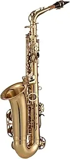 summina Saxophone E Flat, 802 Key Type, Brass, Gold, High Grade Leather Pads, Engraved Pattern, With Case, Cleaning Brush, Cloth, Gloves, Strap (Upgraded 875 KEY)