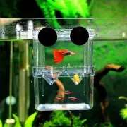 Breeding Aquarium Fish Tank Incubator Hatchery Breeder Isolation Breed Box Tools