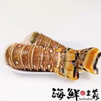 在飛比找PChome24h購物優惠-【海鮮主義】優質4盎司龍蝦尾2包組(225g±20%/包;2