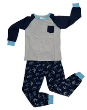 Boys Sizes 8-14 Grey Dinosaur Skeleton Long Set PJS Pyjamas (3117)