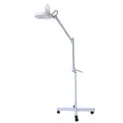 5x Magnifying Lighted Makeup Floor Lamp LED White Beauty Mirror Stand