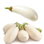 Eggplant - Oriental White F1 seeds