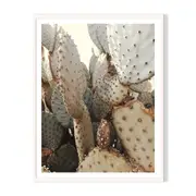 Full Cactus Framed Printed Wall Art - White
