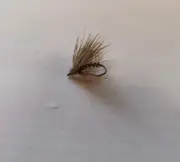 Buggy caddis dry flies