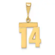 14k Yellow Gold Small Polished Number 14 Charm