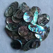 10 set Saxophone real shell buttons inlays keys abalone shell for sax