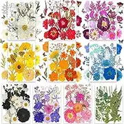 200Pcs Dried Pressed Flowers Leaves for Crafts, Real Natural Dry Pressed Flowers for Resin Molds Nails Art Candle Making Phone Cases DIY Art Crafts