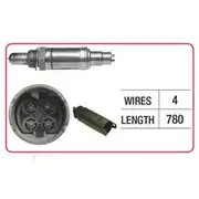 RAE Oxygen Sensor - OX619
