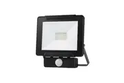 Dino Outdoor Floodlight with Motion Sensor 20W