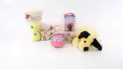 LOT 6 DOG CAT CHEW PLAY TOY PUPPY HARTZ ROPE BALL PAWS PREMIUM DENTAL DUO CATCH