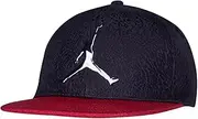 [Jordan] Big Boys Elephant Print Elite Snapback Hat
