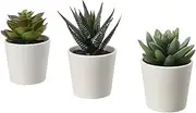 [IKEA] Fejka Artificial Potted Plant with Pot Indoor Outdoor Succulent / 3 Pack Size 2 ¼" 3 Pack 203.953.31