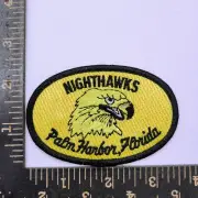 Nighthawks Palm Harbor Florida Patch - Yellow Oval Embroidered Badge