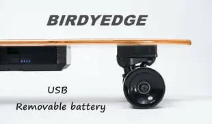 BIRDYEDGE 聖母可拆卸電動滑板 LD01 電動滑板車 手提 USB 行動電源 全台灣首發設計 雙驅動極限版