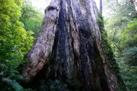 在飛比找KKday優惠-【 登山接駁專區 】台灣新竹 | 北得拉曼登山接駁 | 台北