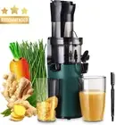 Electric Slow Masticating Juicer 200W Cold Press Wide Chute 800ml Cup BPA-Free