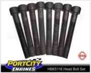 Head Bolt Set for Audi V6 AKE Allroad Quattro Turbo C5 Diesel 2.5L HBK5116