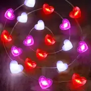 Valentines Day Decor 10FT 30 LED Valentine'S Day Lights with Timer, Red Pink Whi