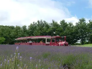 暑假北陸旅遊|名古屋樂高樂園.高原牧場.海豚秀.磁浮鐵道館.名古屋城.模型DIY.4晚萬豪系列飯店.溫泉六日