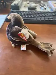 Ty Beanie Baby Early Bird Robin Tag Errors Rare Mint condition