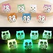 Wanukir 35pc Luminous Resin Owl, Glow in Dark Luminous Miniature Fairy Garden Accessories, Fluorescent Owl Micro Landscape Accessories Cake Topper Decorations Home Décor