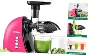 Slow Masticating Juicer, Cold Press Juicer with 2 Speed Modes & Quiet Pink