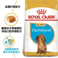 在飛比找蝦皮購物優惠-法國皇家  ROYAL CANIN   《 DSP臘腸幼犬 