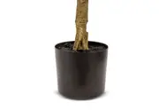 OLIVE TREE 150CM Tree