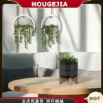 HOUG 假掛植物串珍珠植物掛多肉植物人造逼真小盆栽人造植物