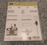 *NEW* Stampin Up! Pun Intended Clear Stamps [Set of 15] Camera Phrase Crafting