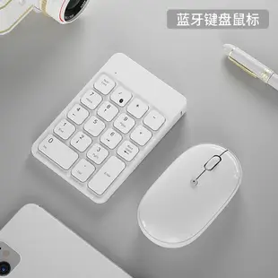 數字鍵盤 筆電外接藍芽數字鍵盤滑鼠 蘋果手提電腦usb外置有線無線數字鍵小鍵盤銀行會『XY34762』