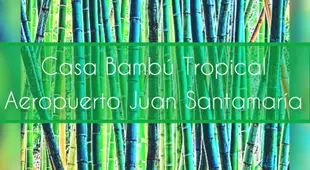 Casa Bambu Tropical