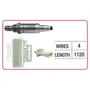 RAE Oxygen Sensor - OX569