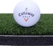 22 in x 60 in Commercial Nylon Pro Golf Turf Mat Chipping Driving Range Practice