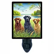 Dog Decorative Photo Night Light, Labrador Trio, Labrador Retriever