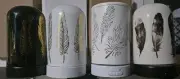 Ultrasonic Diffuser