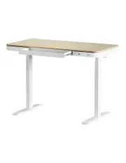 [Artiss] Standing Desk Motorised Electric Dual Motor Draw 120cm in Oak