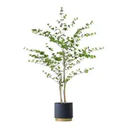 180cm Green Artificial Indoor Watercress Tree Fake Plant Simulation Decorative