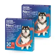 Nexgard Spectra Red 30.1-60kg 12 pack (12 months) | For Dogs