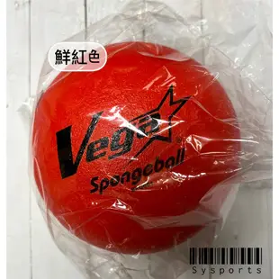 【Vega 元吉】安全發泡球✨ 軟式 發泡球 免充氣 5號球 躲避球 安全躲避球 室內室外皆可 SPG001