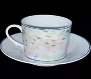 LIMOGES RAYNAUD IMPRESSIONS CUP & SAUCER Set NEW