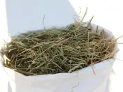 2kg Organic Lucerne (Alfalfa) chaff Rabbit ginea pig chickens ducks feed