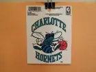 NBA Static Cling Decal - Charlotte Hornets